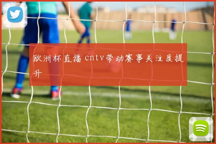 欧洲杯直播 cntv带动赛事关注度提升